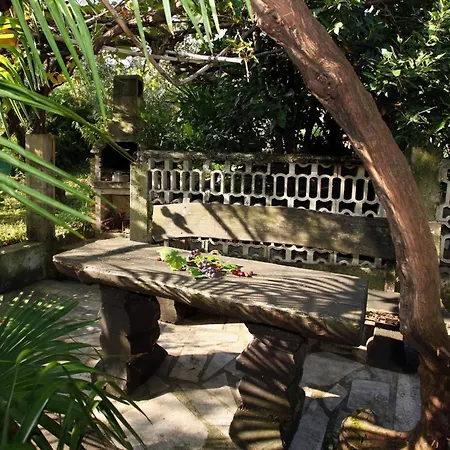Mit Terrasse Und Garten *